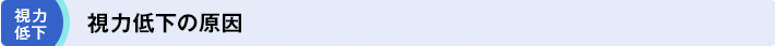 視力低下「視力低下の原因」